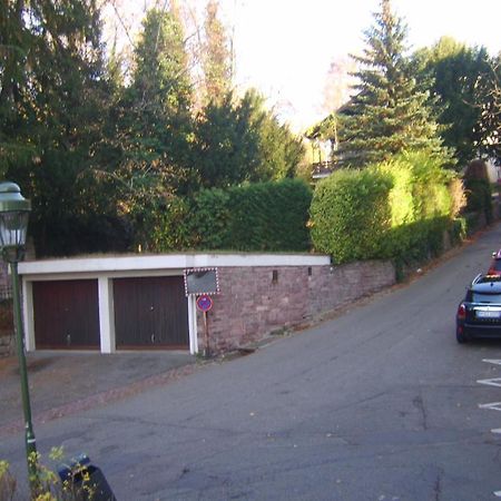 Garden Apartment Baden-Baden Extérieur photo